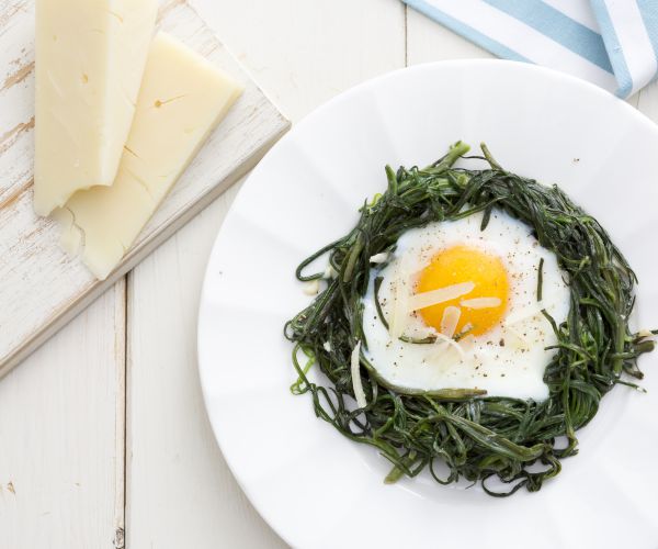 Nestern von Mönchsbart