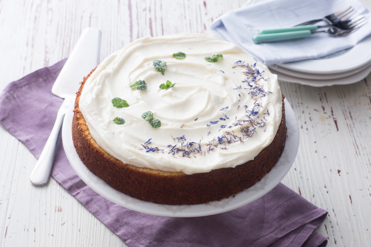Holunderblütenkuchen mit Frischkäsefrosting