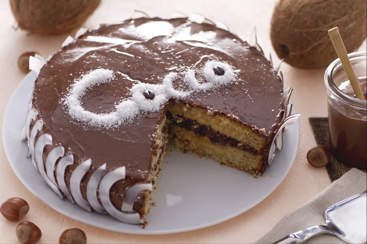Kokos- und Nutella-Kuchen