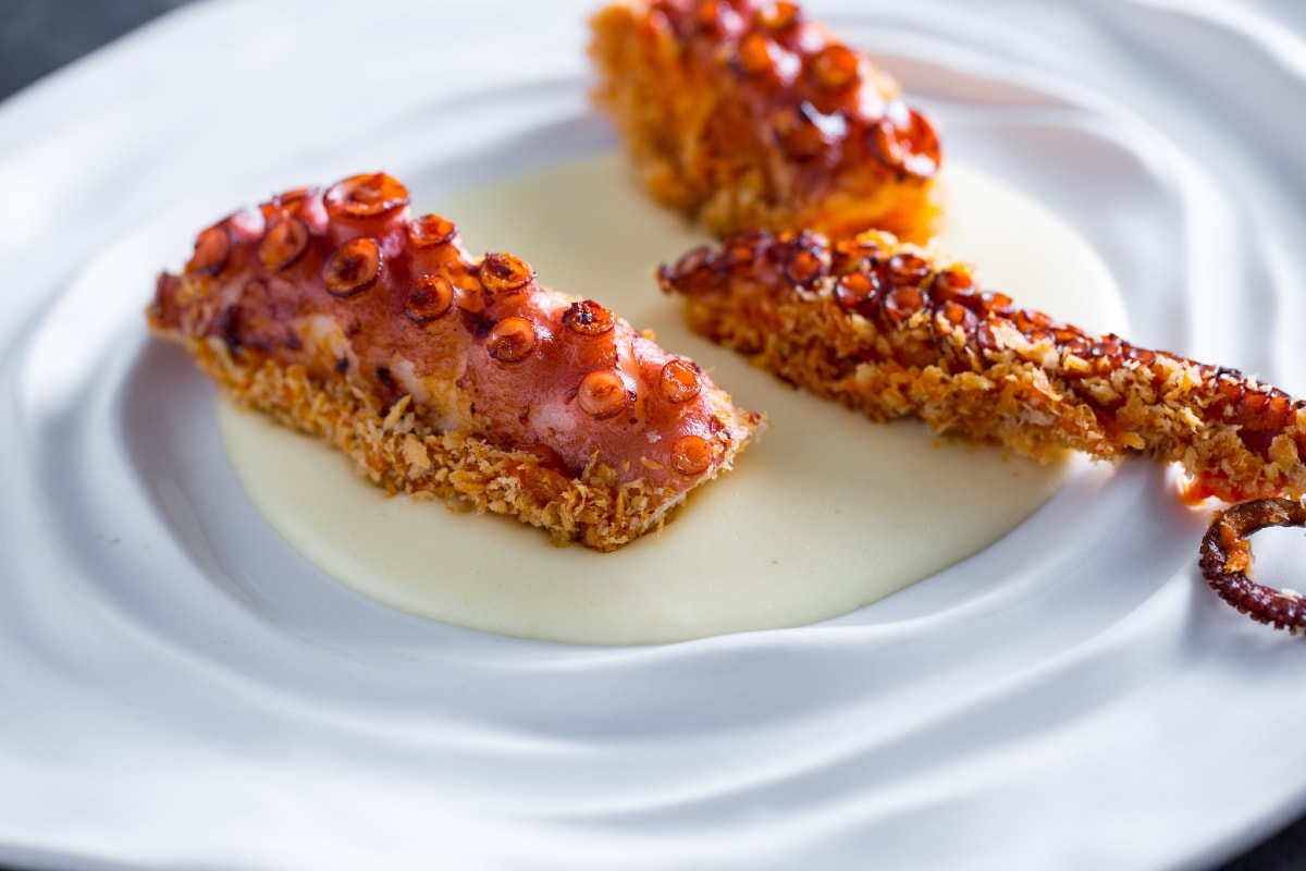 Gegrillter Oktopus auf Kartoffelcreme