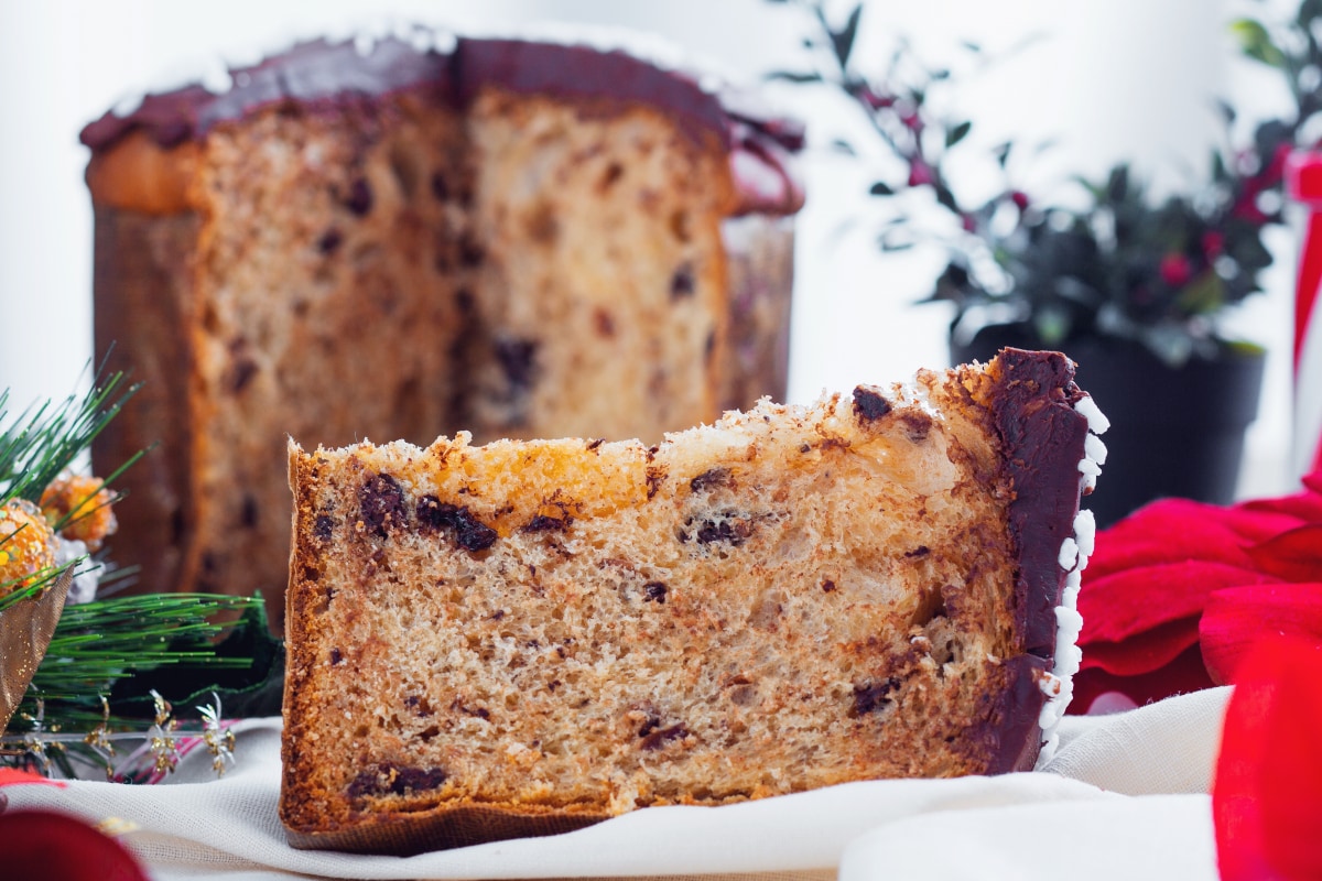 Panettone mit Sauerkirschen und Schokolade