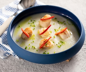 Topinambur-Creme mit gebratenen Jakobsmuscheln