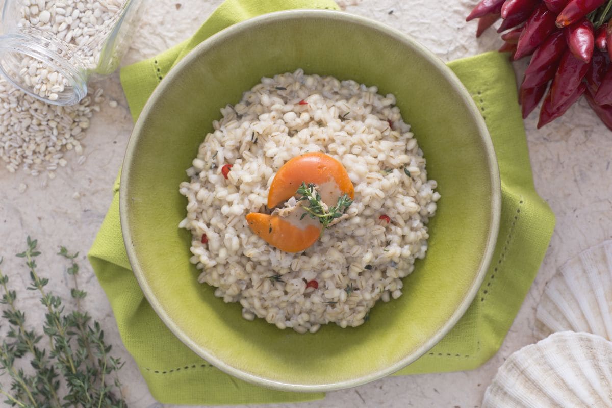 Orzotto mit Jakobsmuschelcreme