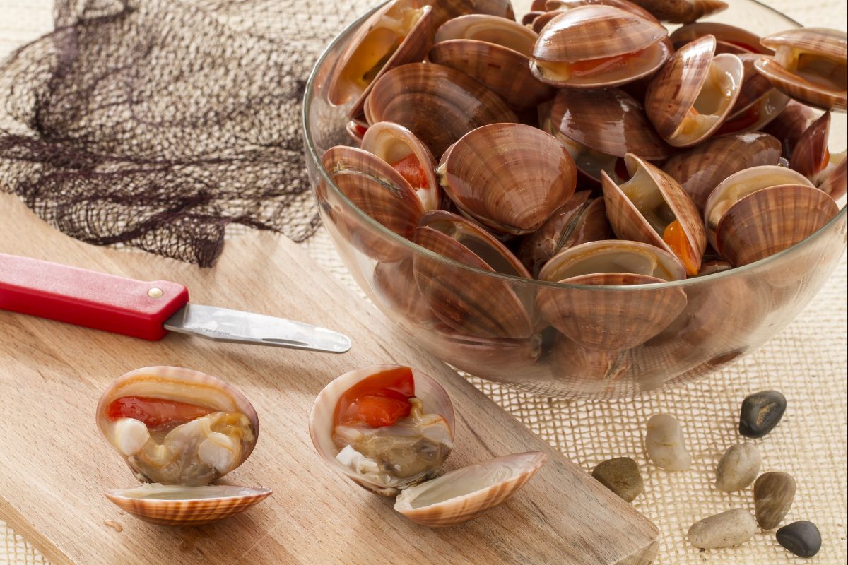 Wie man Fasolari säubert