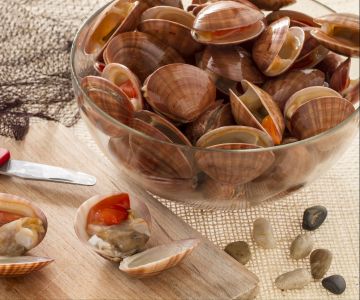 Wie man Fasolari säubert