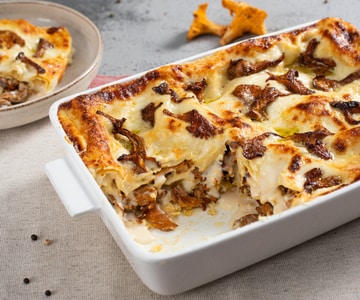 Lasagne mit Pfifferlingen und Stelvio