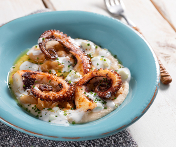 Gerösteter Oktopus mit Bohnenhummus und Tzatziki-Sauce