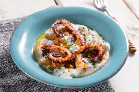 Gerösteter Oktopus mit Bohnenhummus und Tzatziki-Sauce