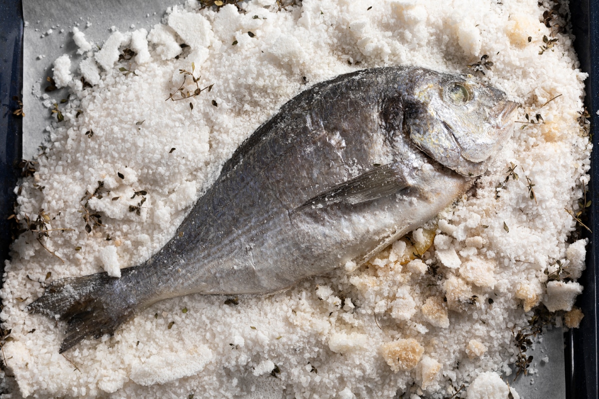 Goldbrasse in Salzkruste