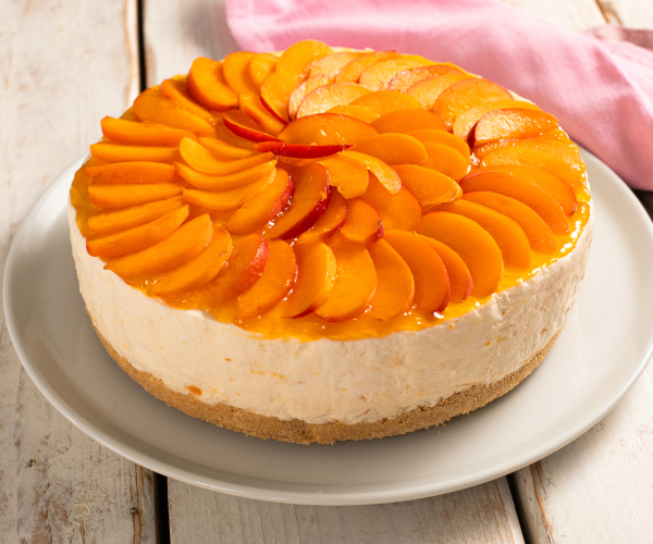 Laktosefreier Aprikosen-Cheesecake