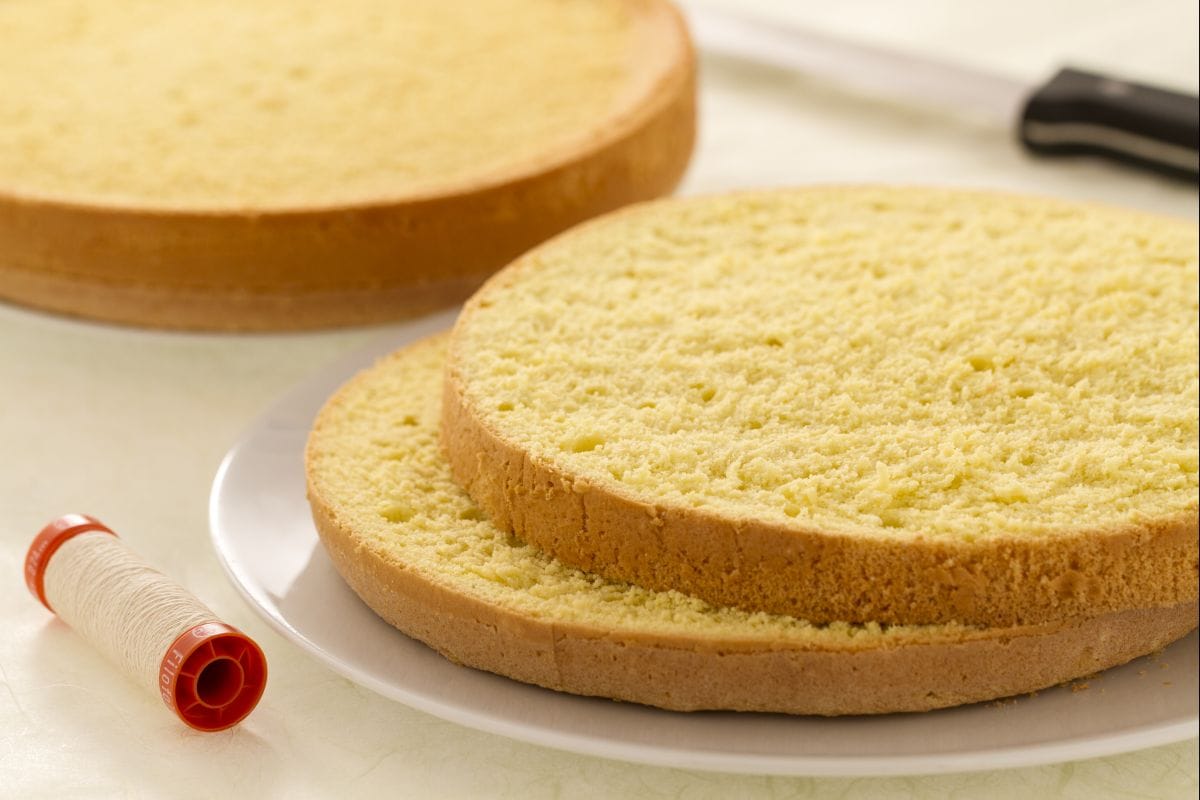 Wie man Biskuitkuchen schneidet