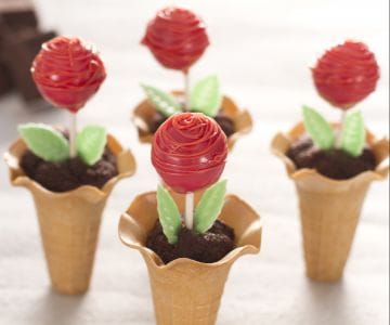Cake Pops Röschen
