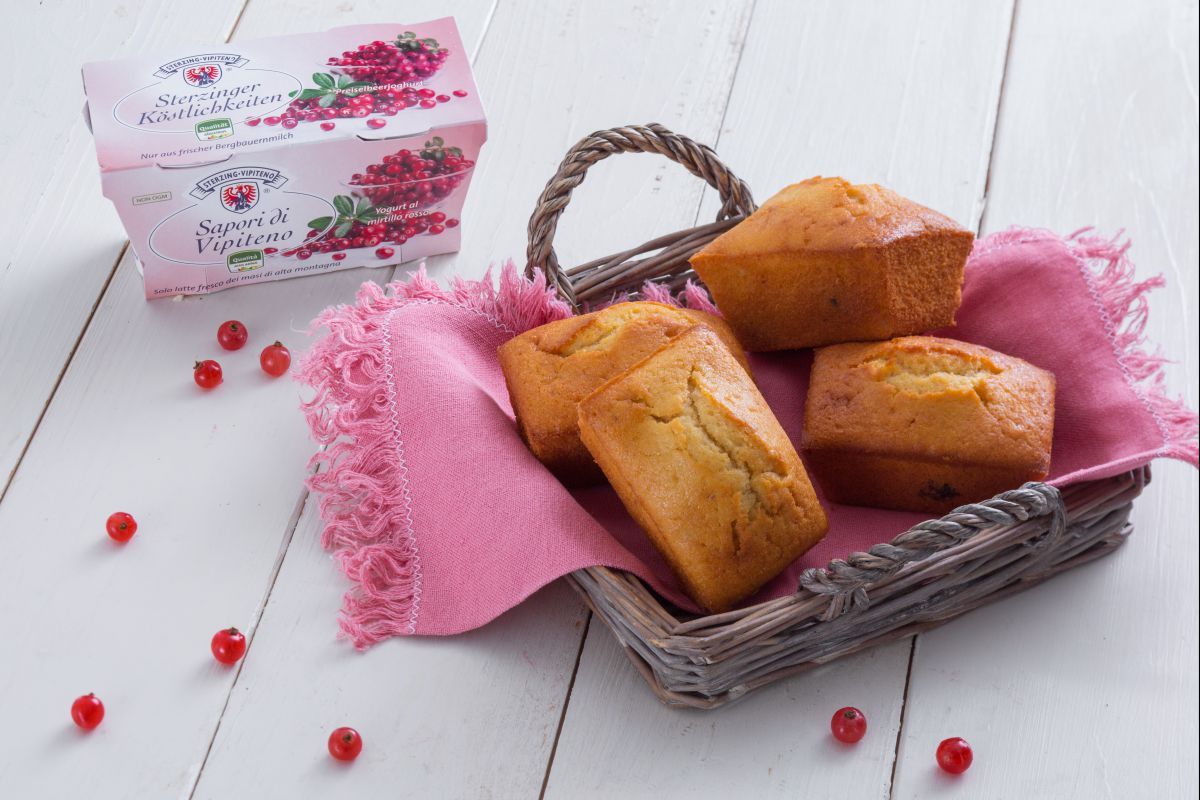 Mini-Joghurt-Pflaumenkuchen mit Cranberries