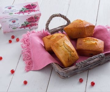 Mini-Joghurt-Pflaumenkuchen mit Cranberries
