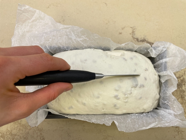 Glutenfreies Brot - step 2